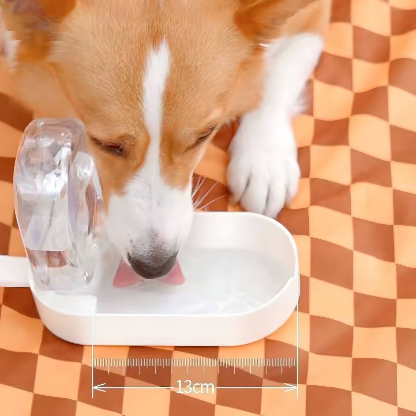 Bouteille d’Eau Portable pour Animaux