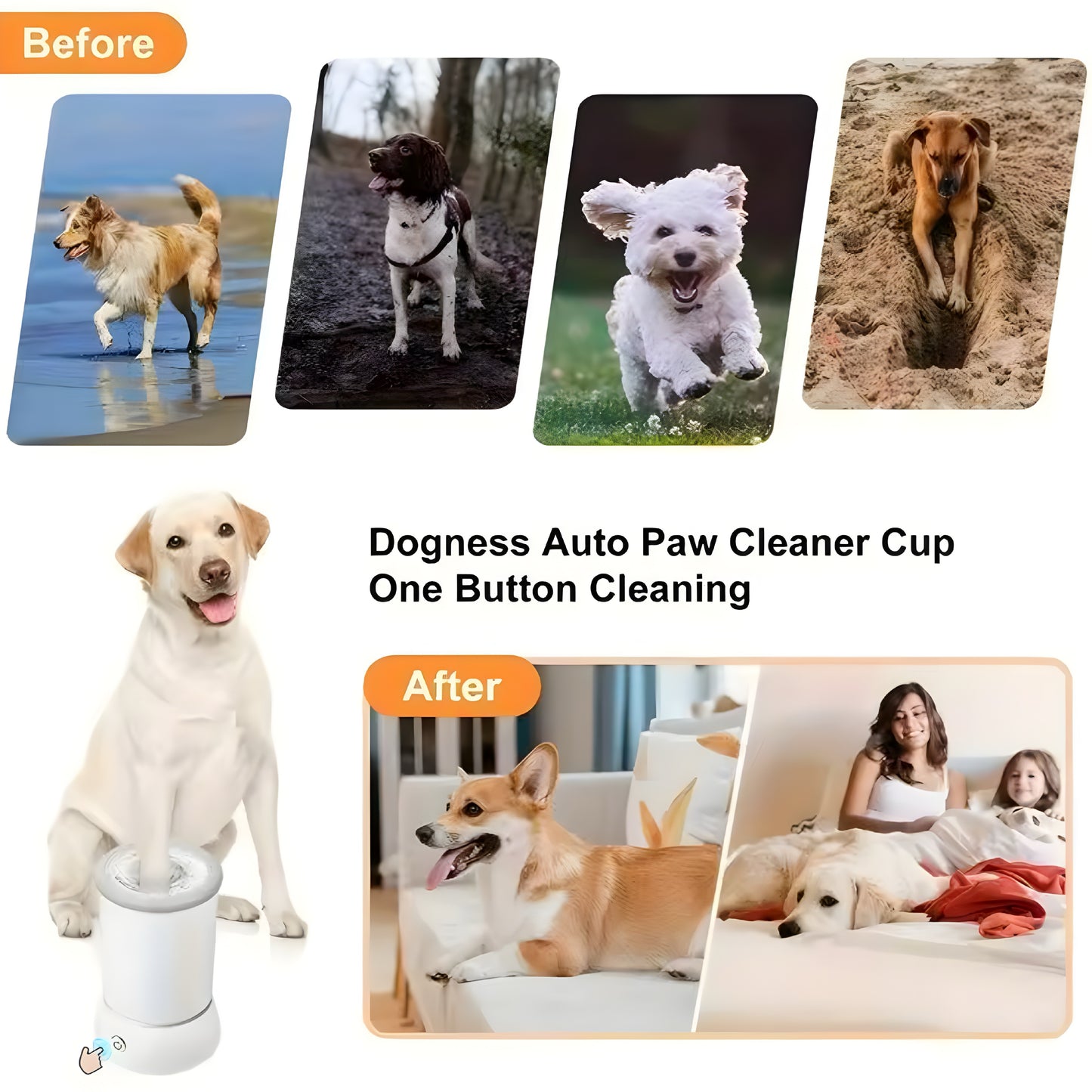 Nettoyeur Électrique de Pattes pour Animaux