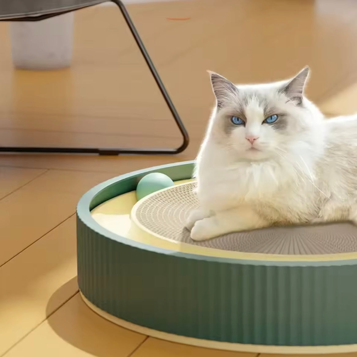 Panier Griffoir Rond pour Chat avec Jouet Balle