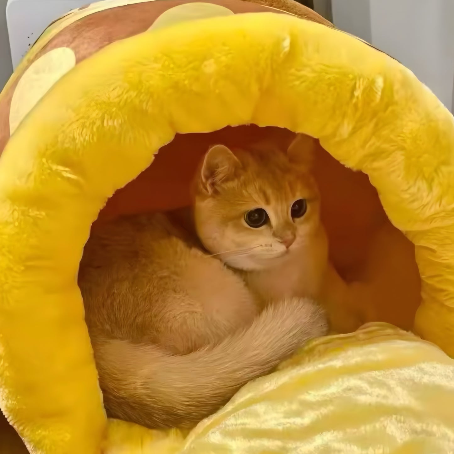 Panier pour Chat “Pot de Miel” – Doux, Cozy & Aesthetic